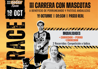 icodoggyrace